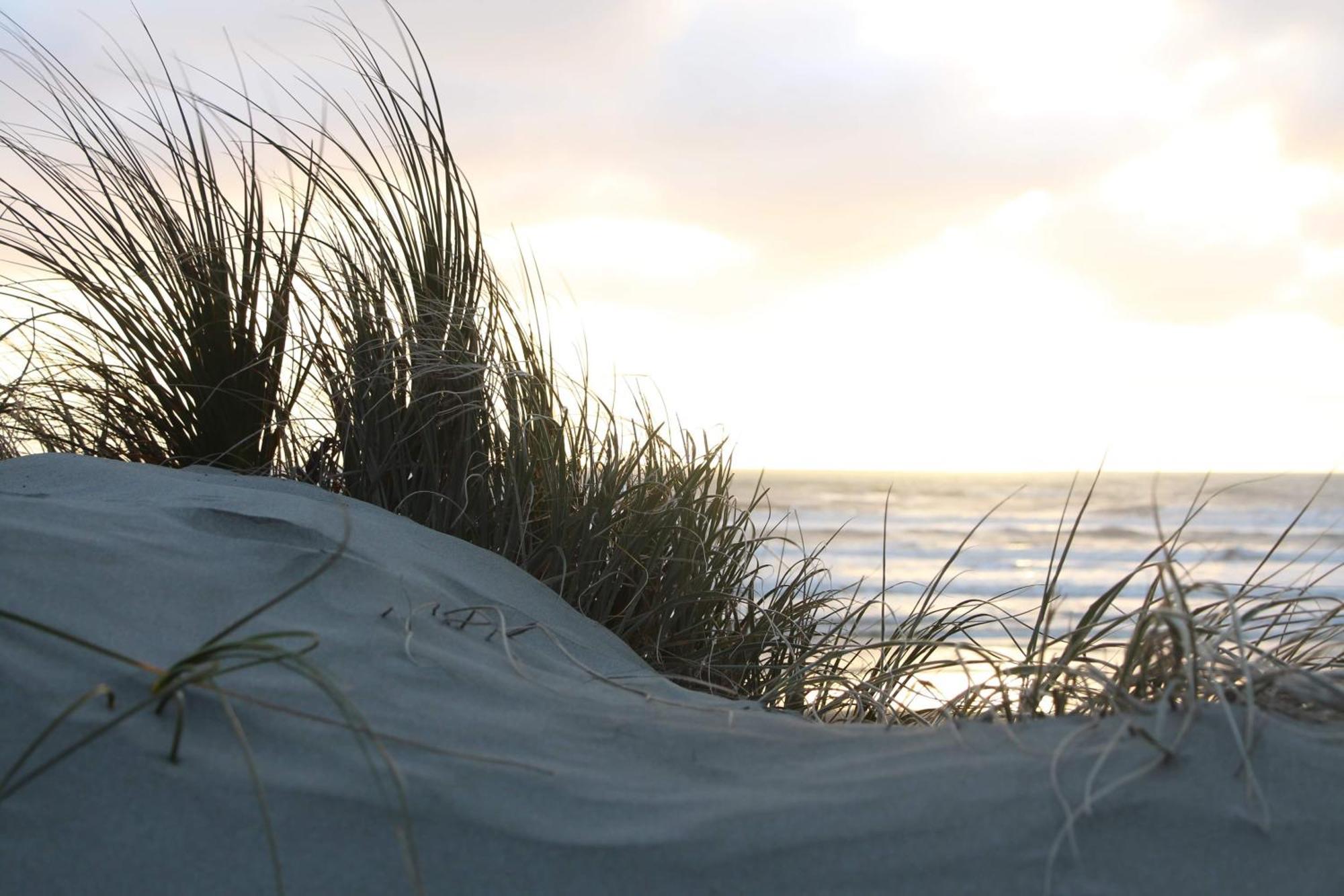 Foxton Beach Holiday Park Eksteriør bilde